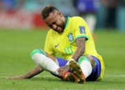 开云体育登录-巴西传奇球员意外重伤，或将影响职业生涯的简单介绍