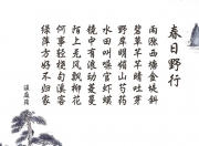 开云-那一刻，整个球场都屏住了呼吸，贝林厄姆的奇迹一击，如何让哥伦比亚在2026世界杯完成史诗逆转
