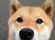 开云体育官网-莱奥引爆南美风暴！孤胆英雄率委内瑞拉加时掀翻德甲豪门勒沃库森