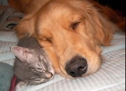 开云体育中国-当吉林队碰上火箭，伦纳德在火星四溅的黑土地上诠释何为冰封王者