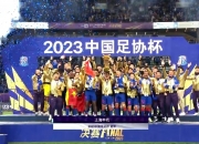 开云体育在线-包含上海申花战胜天津天海，取得两连胜的词条