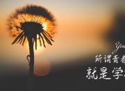 开云体育入口-从绿茵场到赛道，当油门硬仗成为唯一的胜利语言