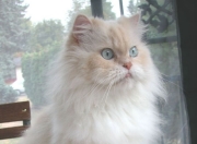 开云-咫尺天涯的双城记，文班亚马统治之夜与浙江队压哨绝杀的交响