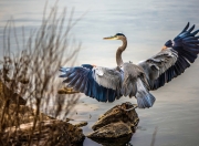 开云体育app-跨越五年的遥望，当森林狼横扫老鹰，伦纳德早已成为关键先生