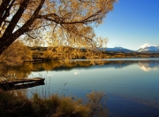 开云下载-迪巴拉时刻，他用唯一的方式定义大场面