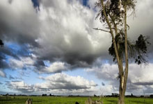 开云体育平台APP-小贾伦一人之力掀翻高原！末节狂飙19分率浙江客场带走掘金