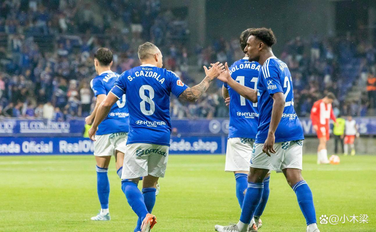 埃尔切主场被逼平未能全取三分的简单介绍