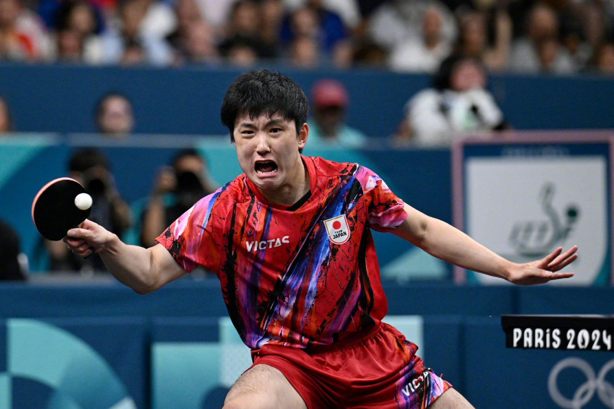 关于日本队横扫葡萄牙队，张本智和统治全场的信息