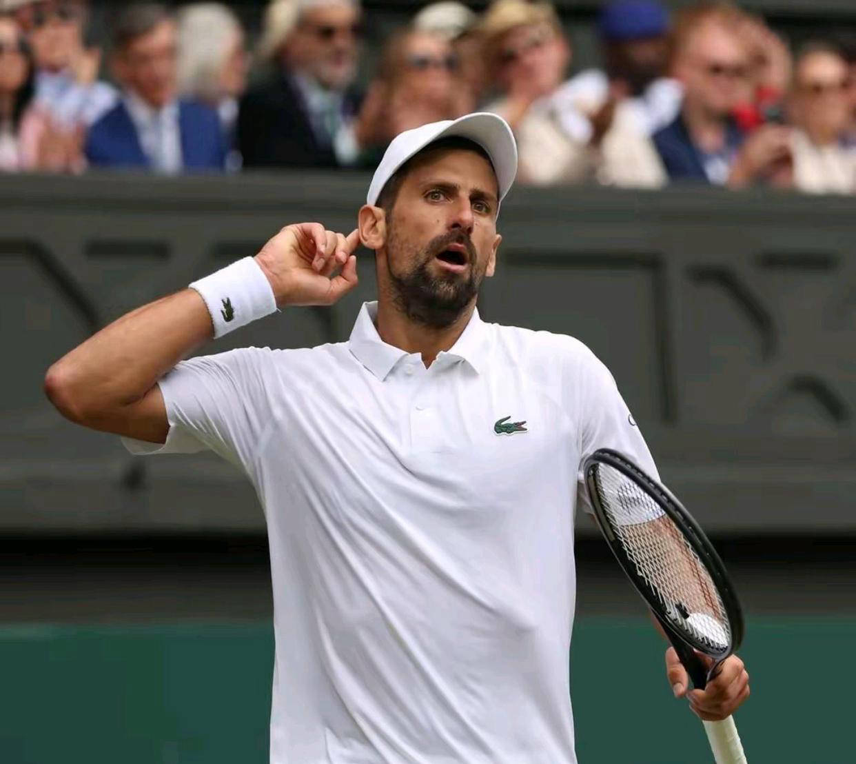 温网轻取戴维斯杯，德约科维奇惊艳四座