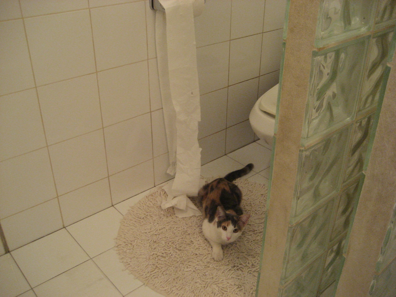 西决终场哨响后,谁是托尼?