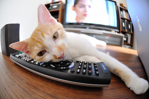 冷雨夜的三分绝杀，当英超争冠之夜遇上克莱式大心脏