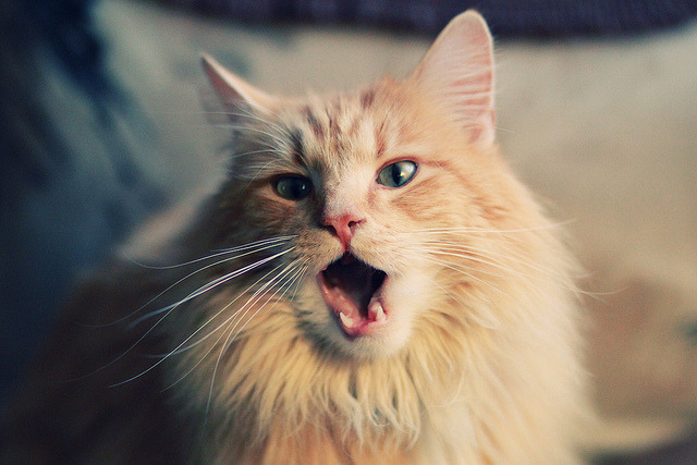 冠军之心觉醒,巴尔韦德双响炮引爆全场,乌拉圭三球轻取乌克兰开启新时代