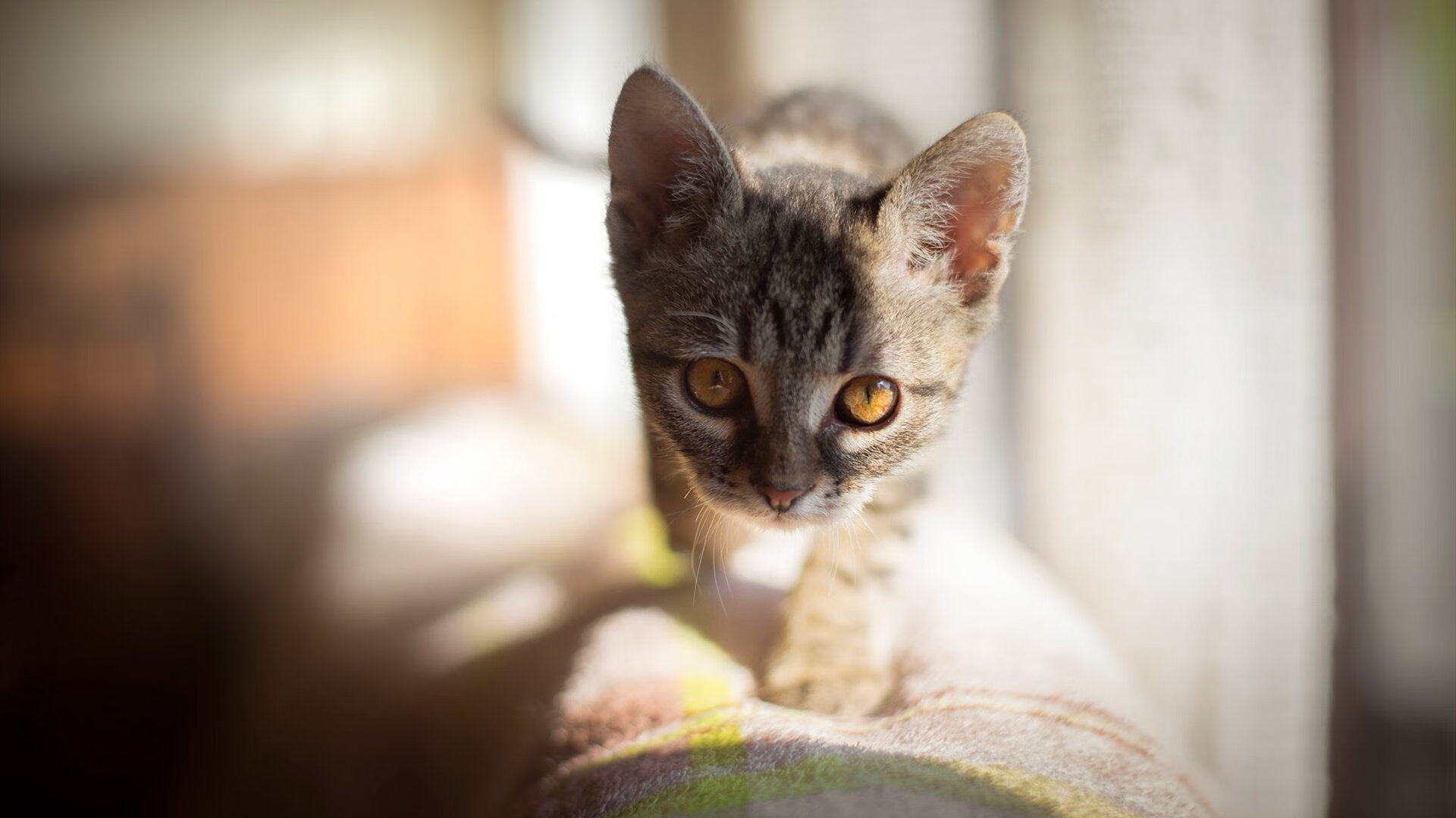 封喉三分!快船双子星光环下,哈登为何仍是致命杀手?