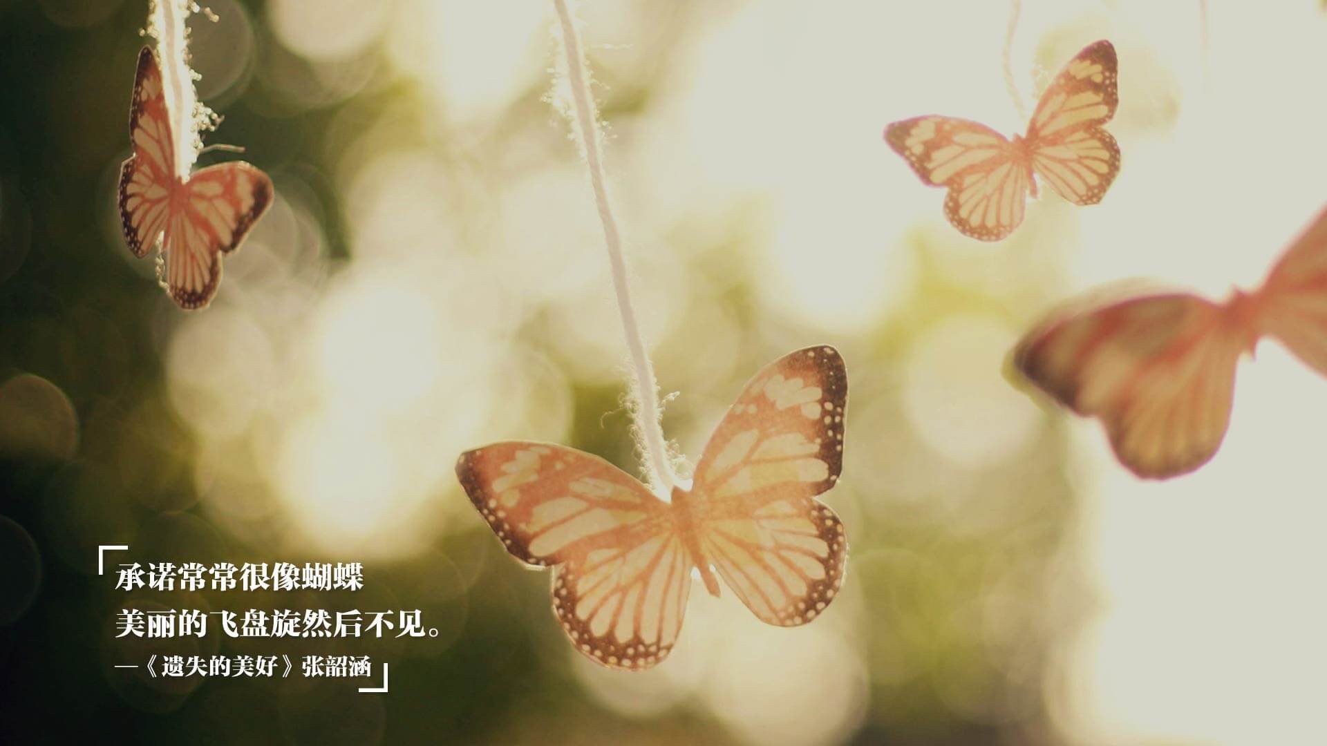 当东方快打遇见西方高塔，切特·霍姆格伦在跨洋篮球对话中定义未来