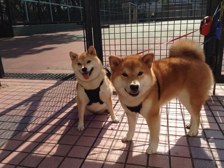 关键先生与黑色洪流,班凯罗三记重锤击碎华南虎不败金身